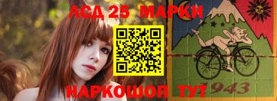 тгк Кингисепп