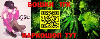 тгк Кингисепп