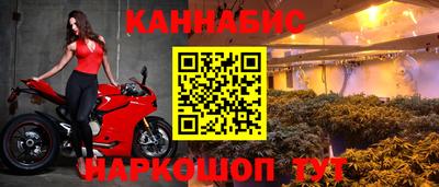 гидра Кимры