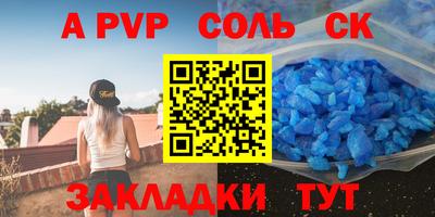 тгк Кингисепп