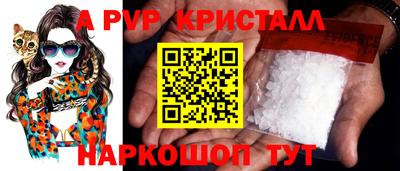 тгк Кингисепп