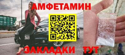 тгк Кингисепп