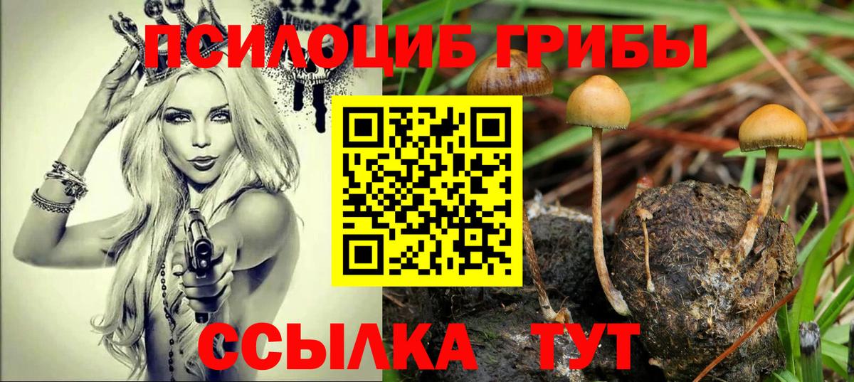 Галлюциногенные грибы прущие грибы  Вход с VPN  Кинель 