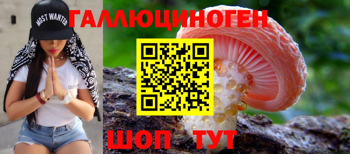 Галлюциногенные грибы Psilocybe Кинель